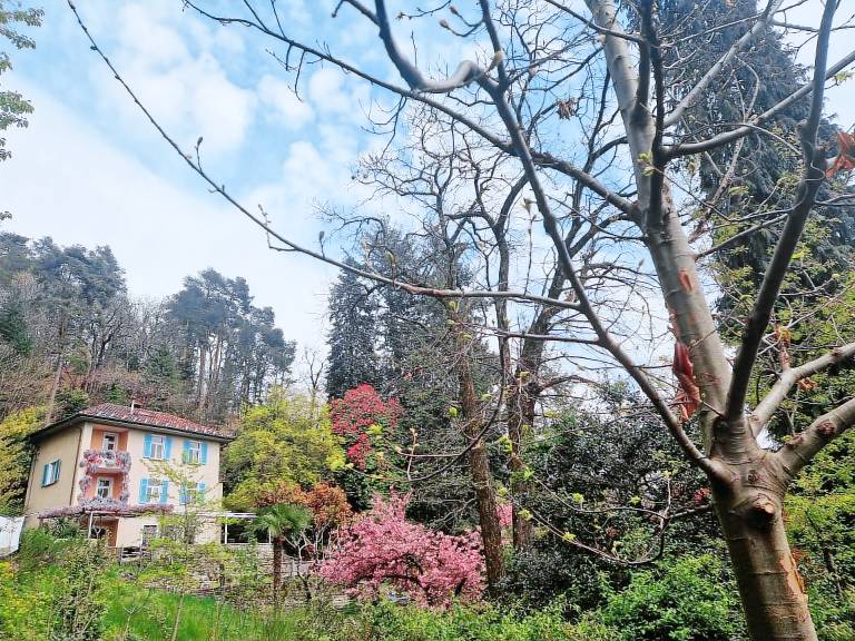 House Locarno