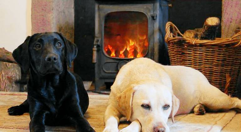 Vacation home with terrace, yard & grill | Suitable for remote work in Stirling