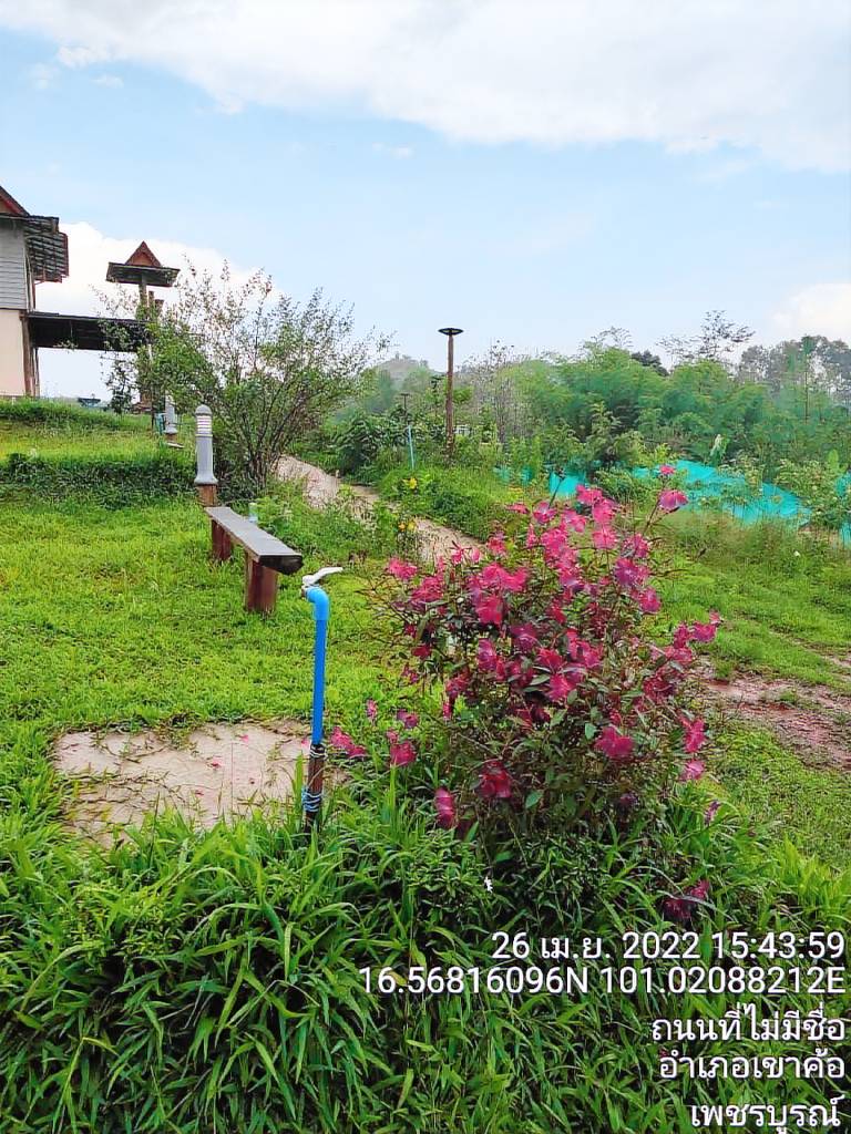 House with yard | Pets allowed — photo 5