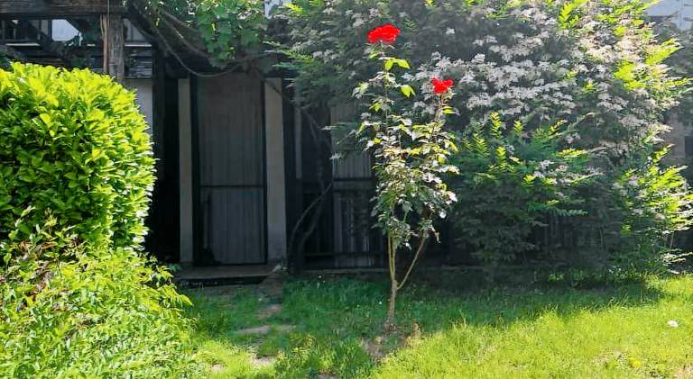 Holiday apartment with pool — photo 5