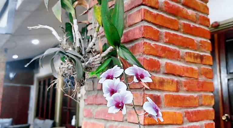 Happy Hotel in Vang