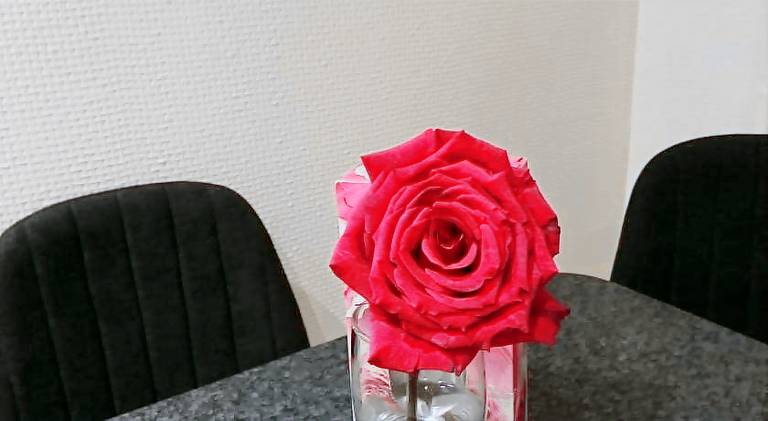 Lovely holiday apartment | Pets allowed — photo 5