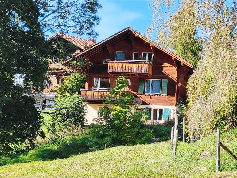 Ferienwohnung Lenk