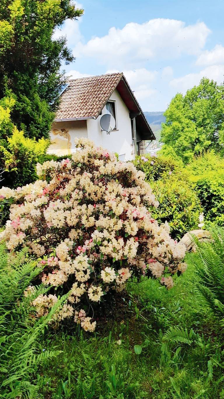 Ferienhaus Witzenhausen