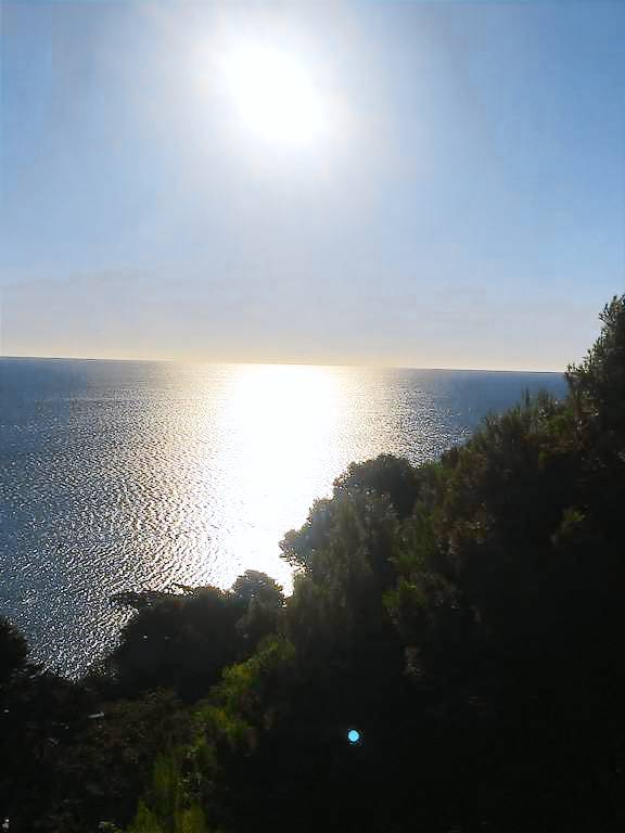 Appartement La Franqui