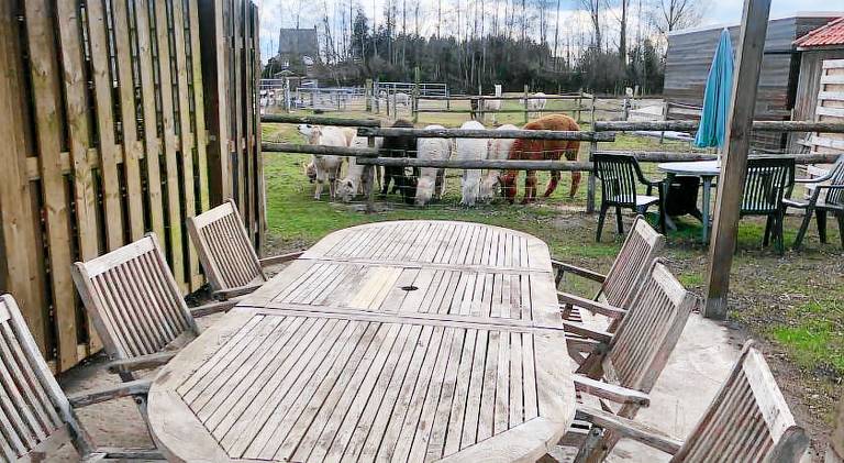 Apartment with 3 rooms for 8 persons — photo 4