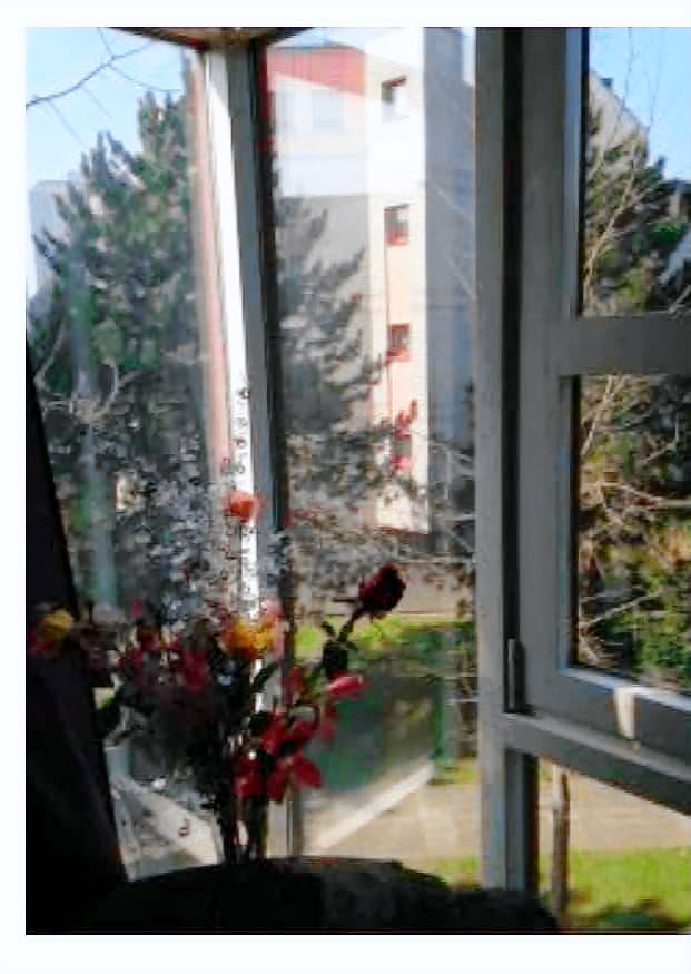 House with 3 rooms for 9 persons — photo 4