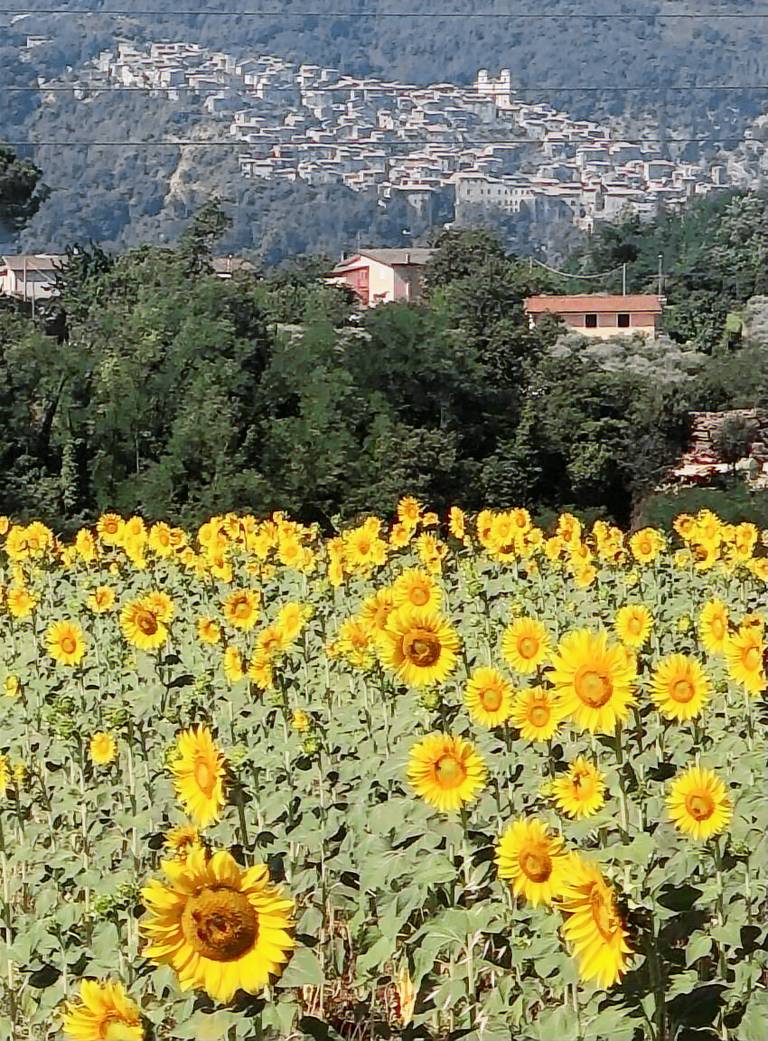 Cottage  Valmontone