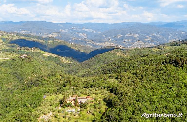 Podere Le Pialle: L'uliveto (per un massimo di 4 persone) — photo 3