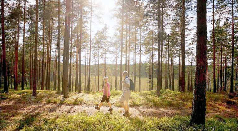 First Camp Hokensas Tidaholm