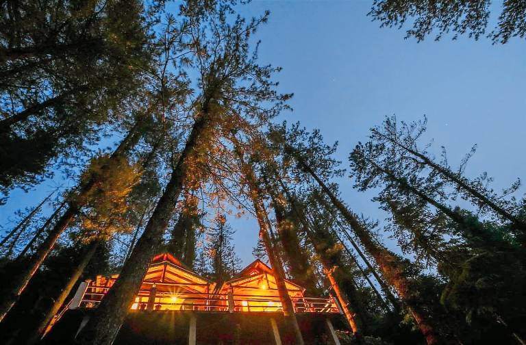 Vacation home | Pets are welcome in Kosiyakutoli