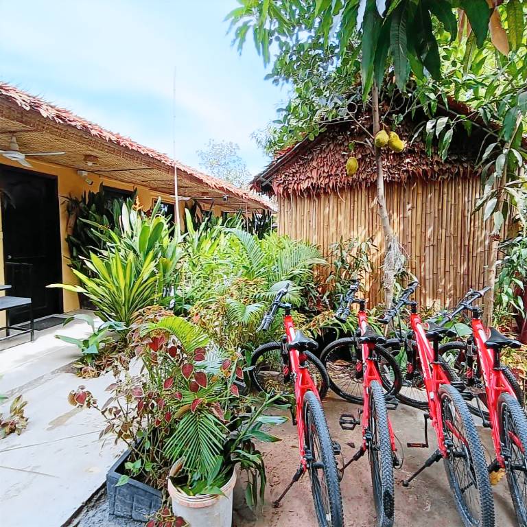 Charming villa with garden | Good for workation | Pets allowed in Siem Reap