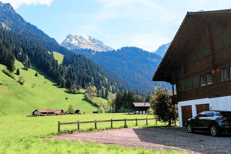 Ferienwohnung  Lenk