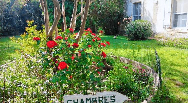 Le Mas d'Icard in Saintes-Maries-de-la-Mer