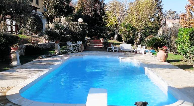 Nice house with pool & hot tub | Dogs allowed — photo 4