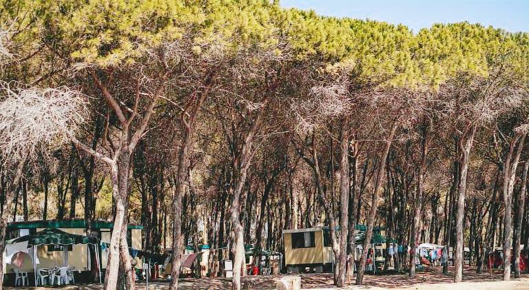 Camping Cammello Grigio — photo 5