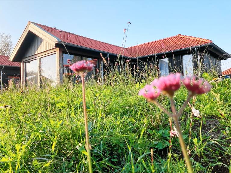 Ferienhaus in Anjum, Lauwersmeer f&uuml;r max. 4 Personen