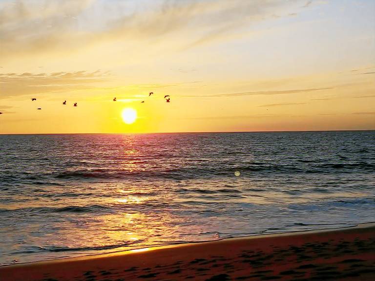 Condo Saint Pete Beach