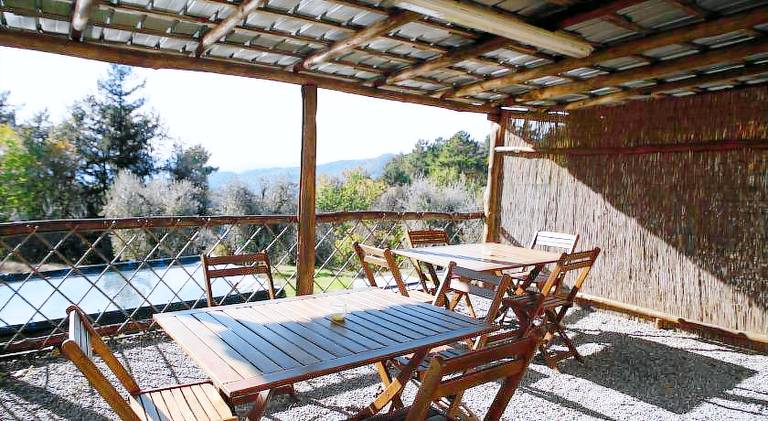 Charming farm with BBQ, private pool & patio | Pet-friendly — photo 3