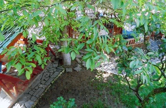House  Baia Mare