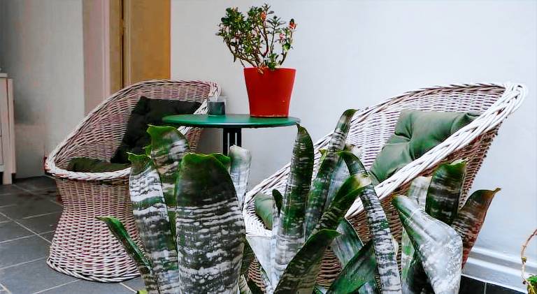 Wonderful holiday apartment | Pets allowed — photo 5