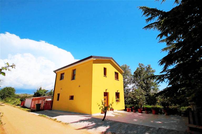 House with BBQ, garden & terrace — photo 5