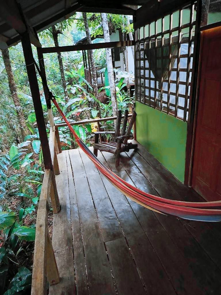 Green point lodge — photo 3