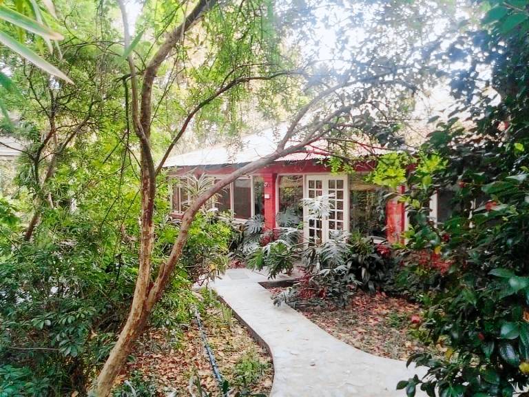 The Jungle Bungalow La Bellesa — photo 3