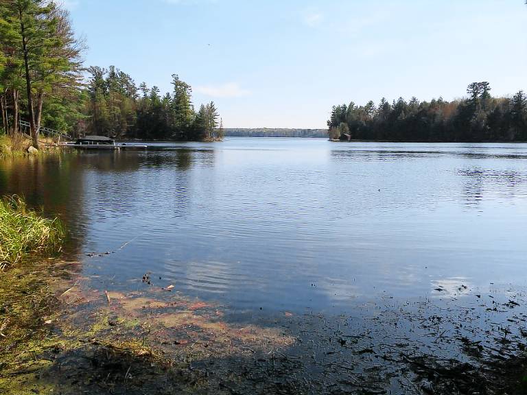 House Pelican Lake