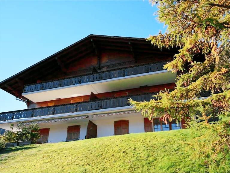 Apartment Gstaad