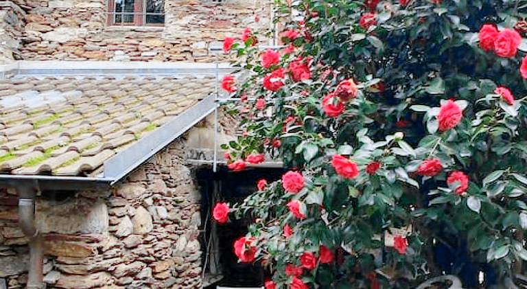 Vacation home with 1 room for 2 persons in Ascona
