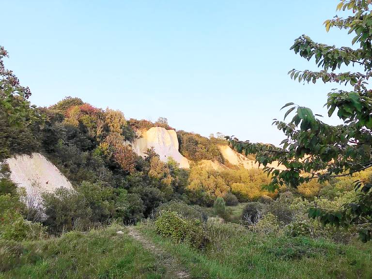 Apartamento Sagard