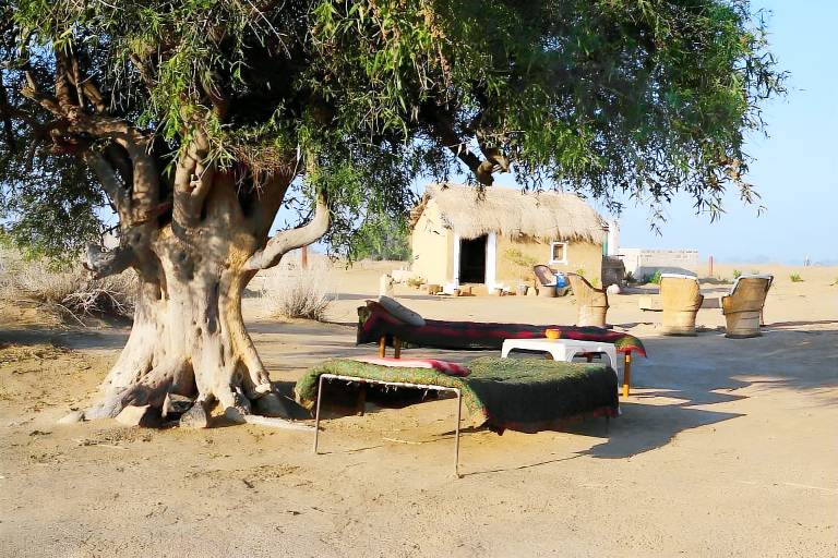 House with 2 rooms for 4 persons — photo 4