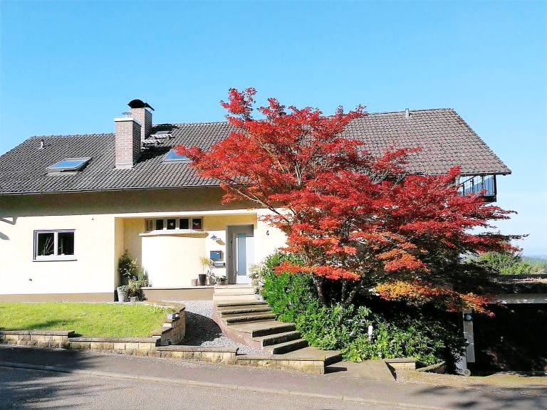 foto7