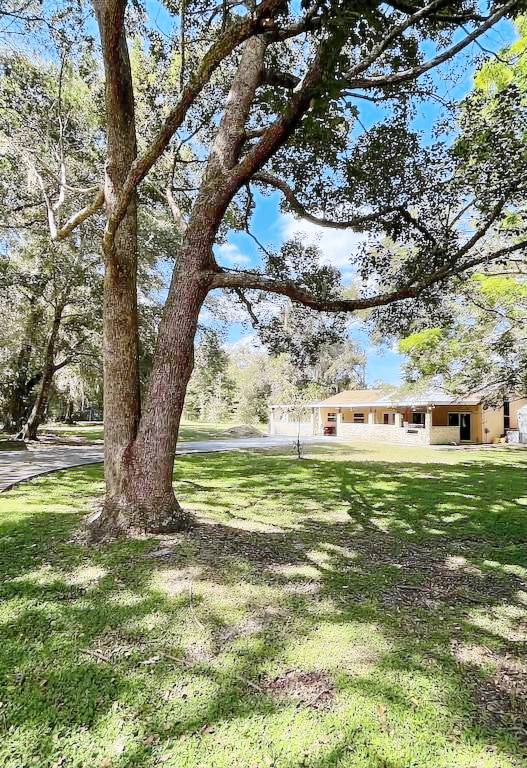House Apopka
