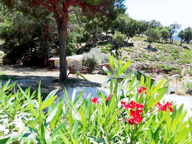 Vacation home with heated pool, barbeque & yard | Nature view — photo 3