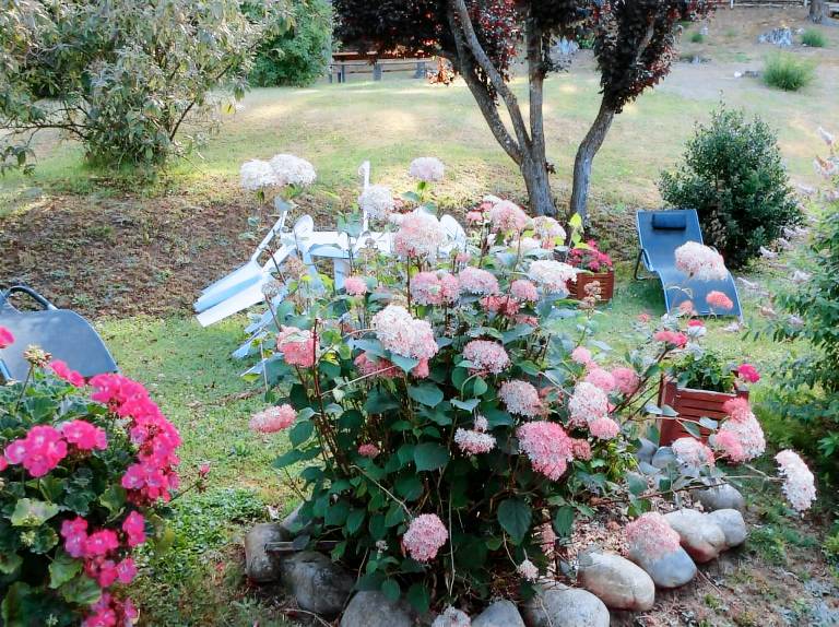 Fully equipped nice gite with yard & grill | Mountain view | Dogs allowed — photo 5