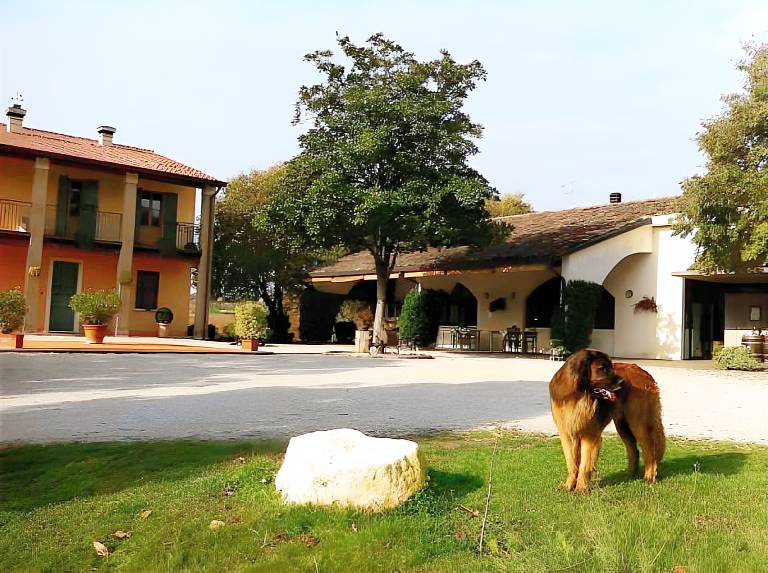 Boerderij Monzambano