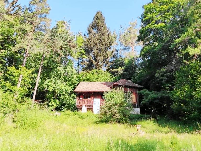 Waldhaus auf Randen — photo 2