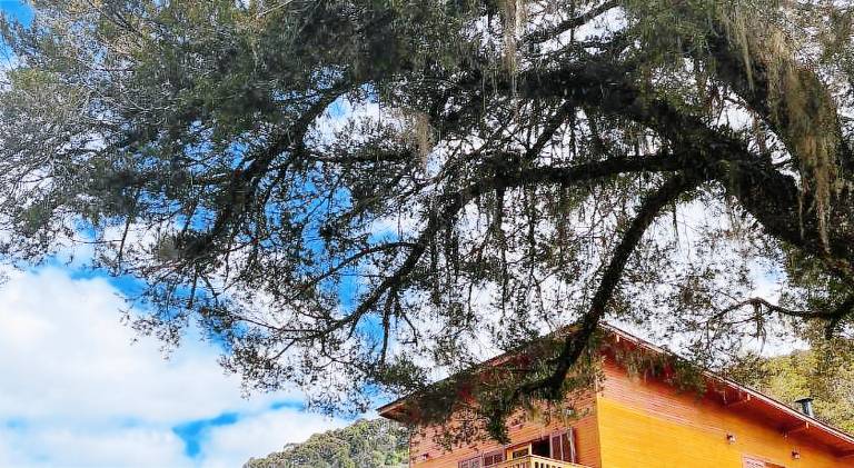 Lodge with garden, terrace & grill in Urubici