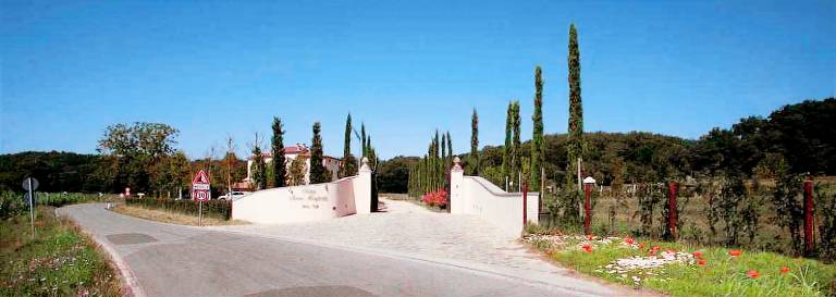 foto2