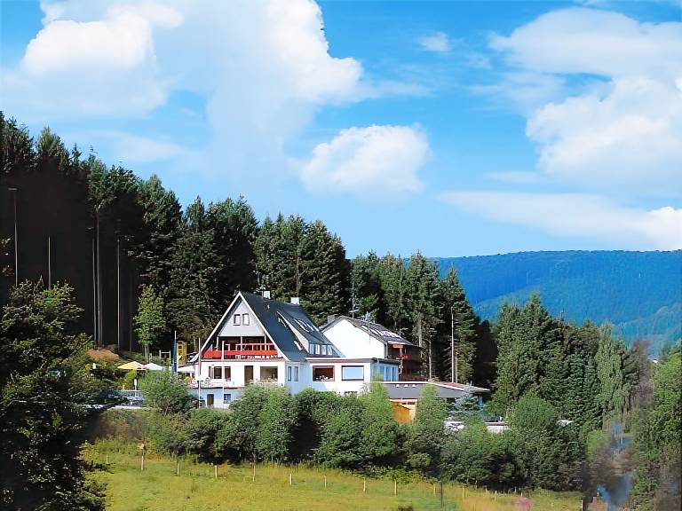 Wald Hotel Willingen in Willingen