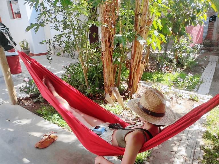 Flying Monkey Hostel