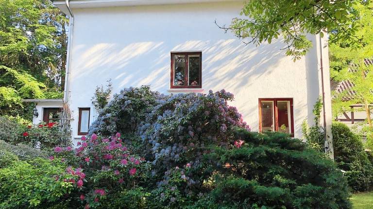 Ferienhaus Hodenhagen