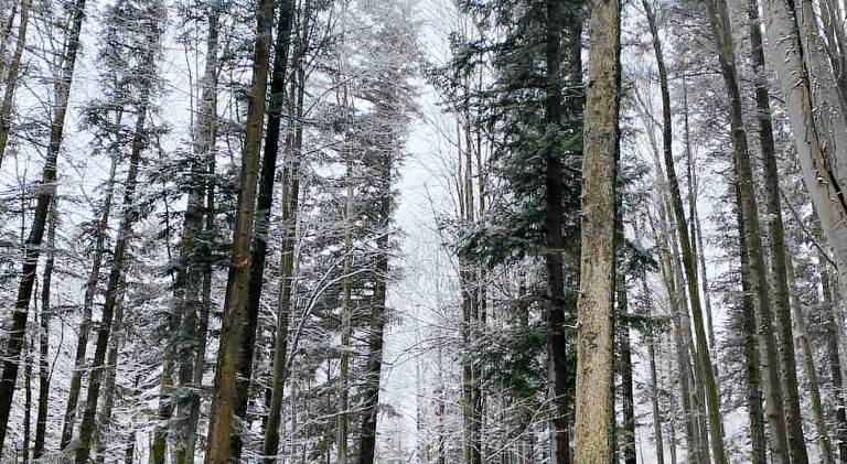 Bed & Breakfast Muczne