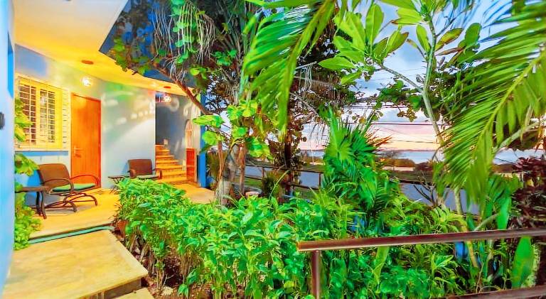 Rental apartment | Pets are welcome in Isla Mujeres