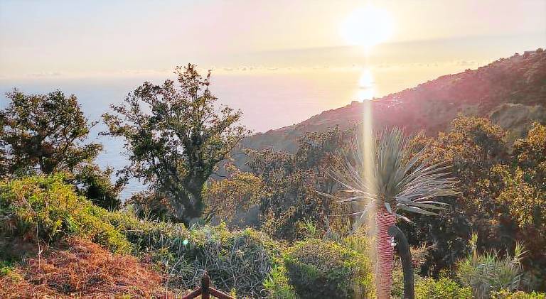Rental apartment with 1 room for 2 persons in Calheta
