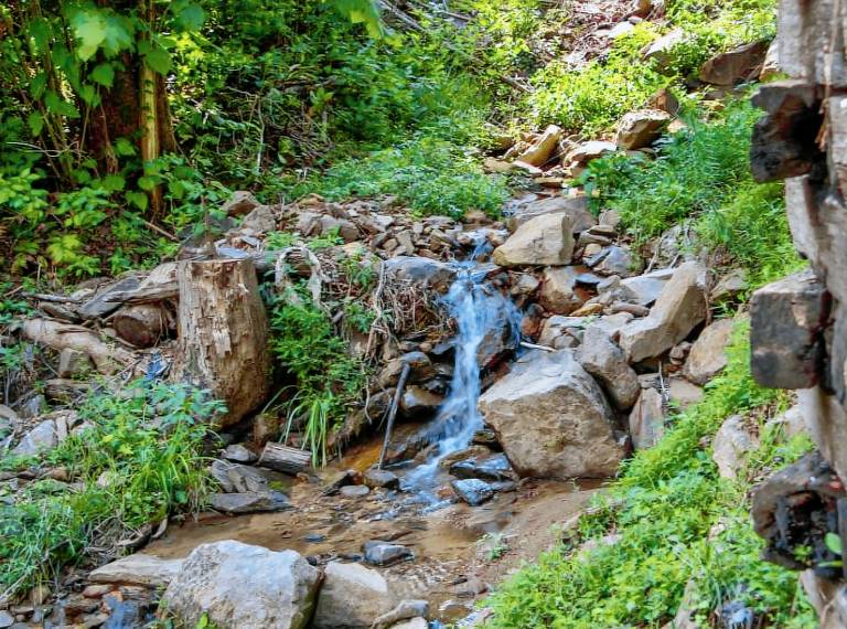 Bearly Hidden: Peaceful Creekside Escape with Hot Tub — photo 2