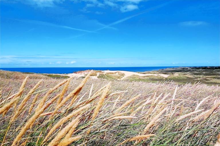 Fully equipped vacation home with terrace, sauna & garden | Next to the beach | Pet-friendly — photo 4