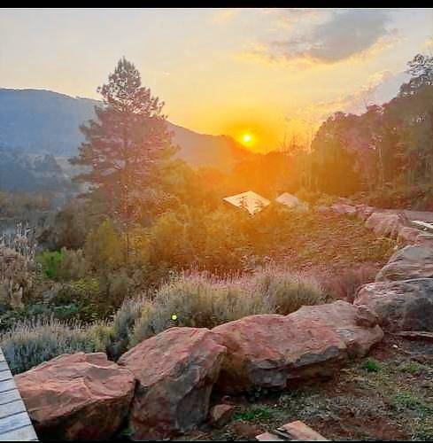 Chalet Floresta